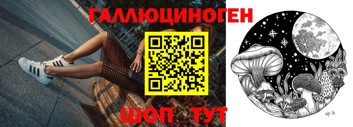 Псилоцибиновые грибы мицелий Находка