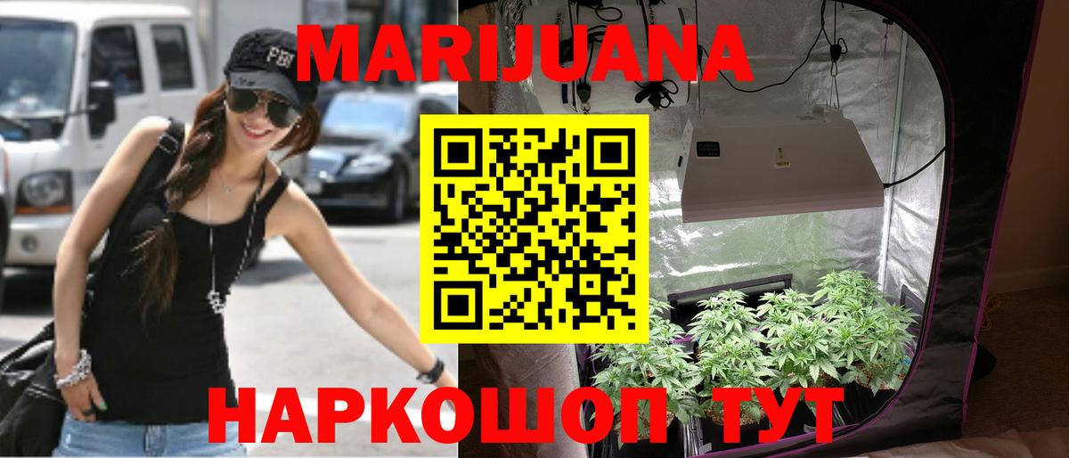 Бошки Шишки сатива  Вход с VPN  Бошки Шишки тримм  Находка  Конопля VHQ  Марихуана индика 